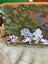 PAINTED CANVAS OF GARDEN CHAIRS Carousel 2