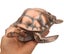 Windproof Metal Desktop Ashtray With Lid Portable Cigarette Odor Ashtray Holder Carousel 3
