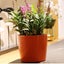 Round Self Watering Flower Pot With Water Indicator Indoor Outdoor Plastic Plant Carousel 3