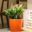 Round Self Watering Flower Pot With Water Indicator Indoor Outdoor Plastic Plant Carousel 4