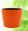 Round Self Watering Flower Pot With Water Indicator Indoor Outdoor Plastic Plant Carousel 5