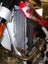 Loading Image 1 of 1