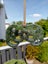 Greenstone/Pounamu Pekapeka Carousel 4