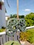 Greenstone/Pounamu Pekapeka Carousel 3