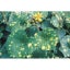 Loading Image 1 of 2