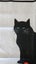 ~" Sue Boettcher Black Cat Artist Very Rare Linen Made In Ireland Tea Towel "~ Carousel 3