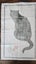 ~" Sue Boettcher Black Cat Artist Very Rare Linen Made In Ireland Tea Towel "~ Carousel 9