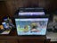Aqua One Ecostyle 47 Black Aquarium 38l Carousel 2