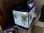 Aqua One Ecostyle 47 Black Aquarium 38l Carousel 5