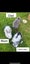 Mini lop baby Carousel 4