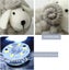 Creative Sheep Rattan Table Lamp - USB Eye Care Projection Night Light Carousel 3