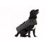 Swanndri Hunter Oilskin Dog Coat - Size XS to XL Carousel 1