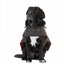 Swanndri Hunter Oilskin Dog Coat - Size XS to XL Carousel 3