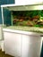 Fish Tank & Stand (White) Carousel 1