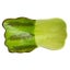 Loading Image 1 of 1