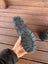 Blundstones 510 size 10 Carousel 6