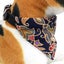 Cotton Pet Bib Cat Headband Dog Saliva Towel - Size Xs Carousel 7