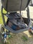Uppababy Ridge Stroller - Running Stroller Carousel 7