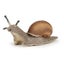 Loading Image 1 of 2