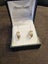 Earrings Carousel 2
