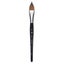 Princeton AquaElite 4850 Oval Wash Brushes 1/4" Carousel 1