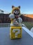First 4 Figures Cat Mario Limited Edition Carousel 1