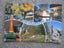 Christchurch Scenes Postcard Carousel 1