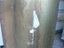 2 plaster hollow columns Carousel 4