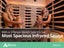 INDOOR SAUNA - HELSINKI NEW 3-SEATER - ALPINE SPAS Carousel 4