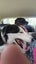 Jax and Oreo need loving new homes. Carousel 15