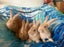 Flemish giant Rabbits for sale Carousel 6