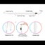 Active Stylus Compatible with Apple iPad, Stylus Pens for Touch Screens,Recha Carousel 3
