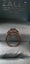 Diamond ring with white/champagne diamonds ~ New & Unworn ~ REDUCED*rrp$2500 Carousel 9