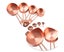 Stainless Steel Measuring Cups and Spoons Set, Measures for Liquid and Dry In Carousel 3