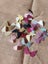 Bulk craft supplies Carousel 1