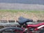 Loading Image 2 of 5