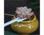 15 Pieces Succulent Plants Tools, Mini Garden Hand Tools Set Transplanting Carousel 4