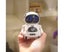 Biwiti Pocket RC Robot for Kid Talking Interactive Dialogue Singing Dancin white Carousel 7