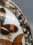 Vintage Taxidermy Real Butterfly Display In Convex Glass Display Carousel 3