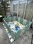 Luxurious Baby Playpen 16+2 Panels (Little Froggy-Green) Carousel 5