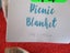 Picnic Blanket 145cm x 145cm Summer Essentals Carousel 2