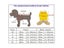 Dog Clothes Pet Clothes Carousel 3