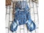 Dog Clothes Pet Clothes Carousel 4