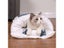Kawaii Removable Cats Bed For Adult Cats Large Pet Dogs Carousel 6