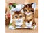 DIY Embroidery Pillow Coarse Wool Hand Knitted Cross Stitch Latch Hook Kit Carousel 3