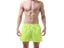 Mens Swimwear Swim Shorts Beach Surfing Shorts Carousel 6