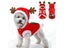 Pet Clothes Autumn Winter Flannel Warm Dog Cat Elk Costume Christmas/New Year Carousel 3