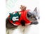 Pet Clothes Autumn Winter Flannel Warm Dog Cat Elk Costume Christmas/New Year Carousel 5