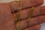 18ct Gold ‘Curb’ chain Carousel 4