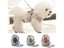 Dog Harness Reflective Puppy Kitten Collars Breathable Mesh Vest Adjustable Carousel 2